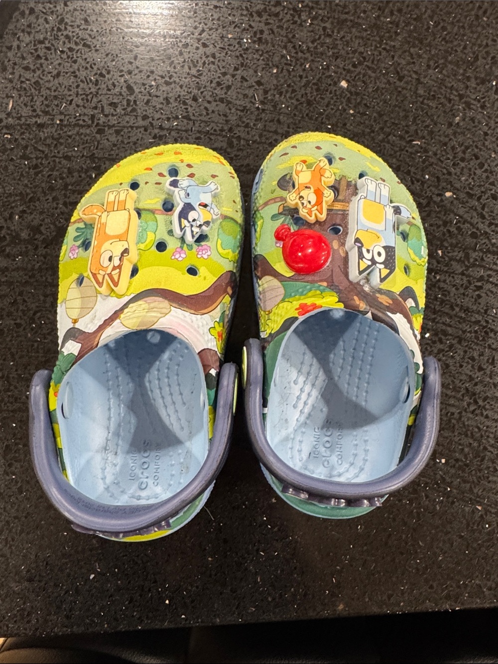 Kids' Bluey Woodland Clog Shoes with Blue Strap